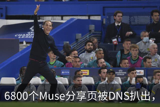 6800个Muse分享页被DNS扒出，Meta紧急暂停